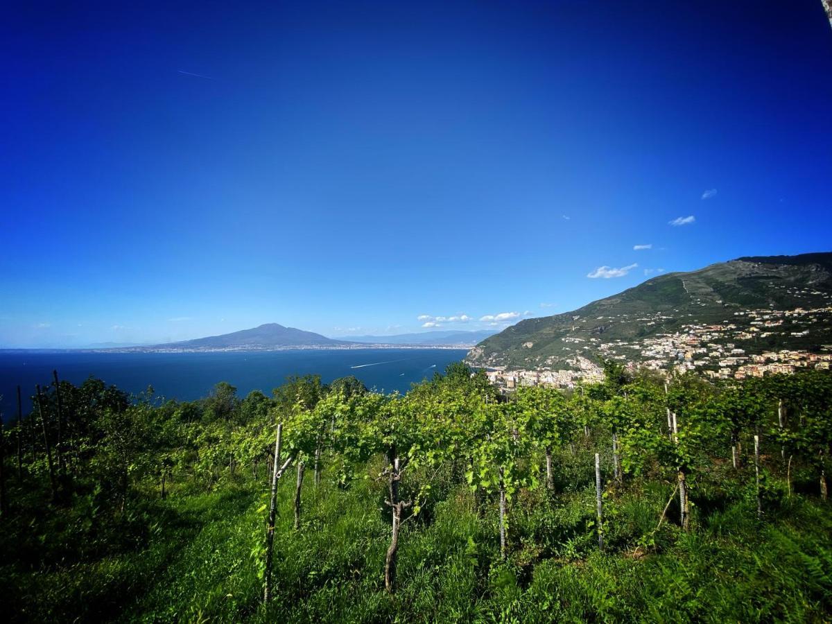 Вілла La Badia Montechiaro - Breathtaking View Of Sorrento Coast Віко-Екуенсе Екстер'єр фото